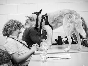 2018-12-13 sniffed! (c) Brian Rapsey.jpg